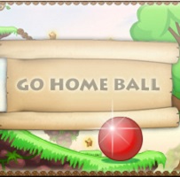 go home Ball game