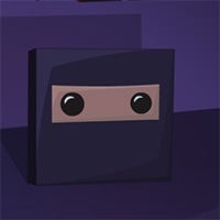 super ninja block game
