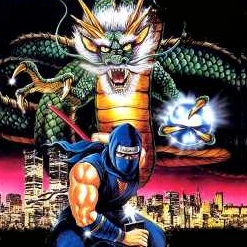 ninja gaiden II - the dark sword of chaos game