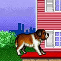 beethovens-2nd-the-ultimate-canine-caper