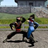 dragon fist 3d game