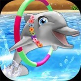 my dolphin show 8 game