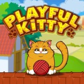 playful kitty game