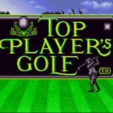 top player's golf game