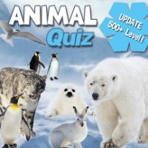 animal quiz game