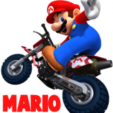 mario bros motobike game