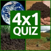 4x1 picture quiz game