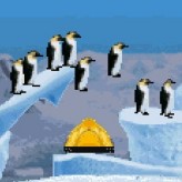 march of the penguins game