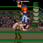 final fight game
