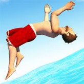 flip diving game