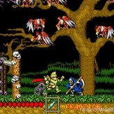 ghouls 'n ghosts game