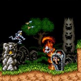 super ghouls'n ghosts game