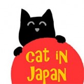 cat in japan game