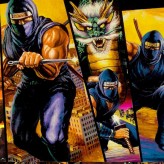 ninja gaiden trilogy game
