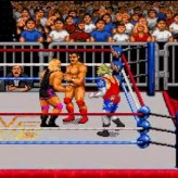 wwf raw game