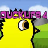 Duck Life Battle  Play Online Free Browser Games