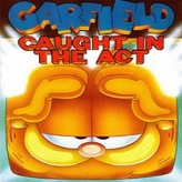 garfield - caught in the act game