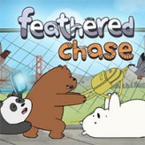 feathered chase – we bare bears game