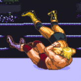 hammerlock wrestling game