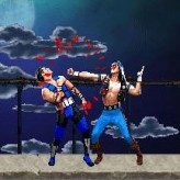 mortal kombat karnage game