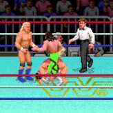 wwf super wrestlemania game