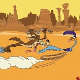 road runner's death valley rally game
