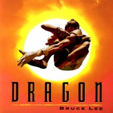dragon: bruce lee story game
