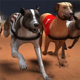 greyhound racing game