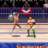 🕹️ Play Retro Games Online: WWF WrestleMania (Arcade)