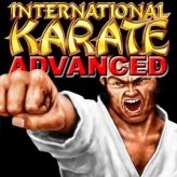 international karate advanced game