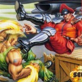 street fighter ii': champion edition game