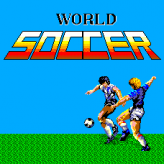 world soccer game