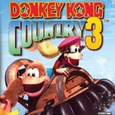 donkey kong country 3 game