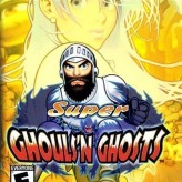 super ghouls'n ghosts game