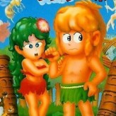 wonder boy game