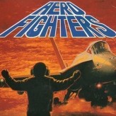 aero fighters game