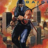 ninja gaiden game