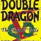double dragon v: the shadow falls game