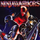 the ninja warriors game