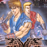 return of double dragon game