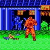 street fighter 2 pro game