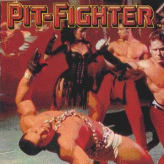 pit fighter game