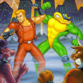 battletoads and double dragon game
