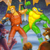 free download battletoads and double dragon