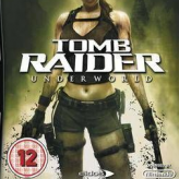 tomb raider: underground game