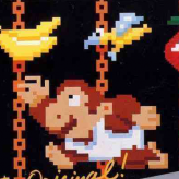 donkey kong jr. game