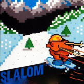slalom game