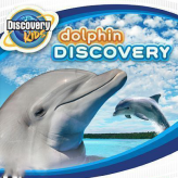 discovery kids: dolphin discovery game