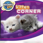 discovery kids: kitten corner game