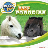 discovery kids: pony paradise game